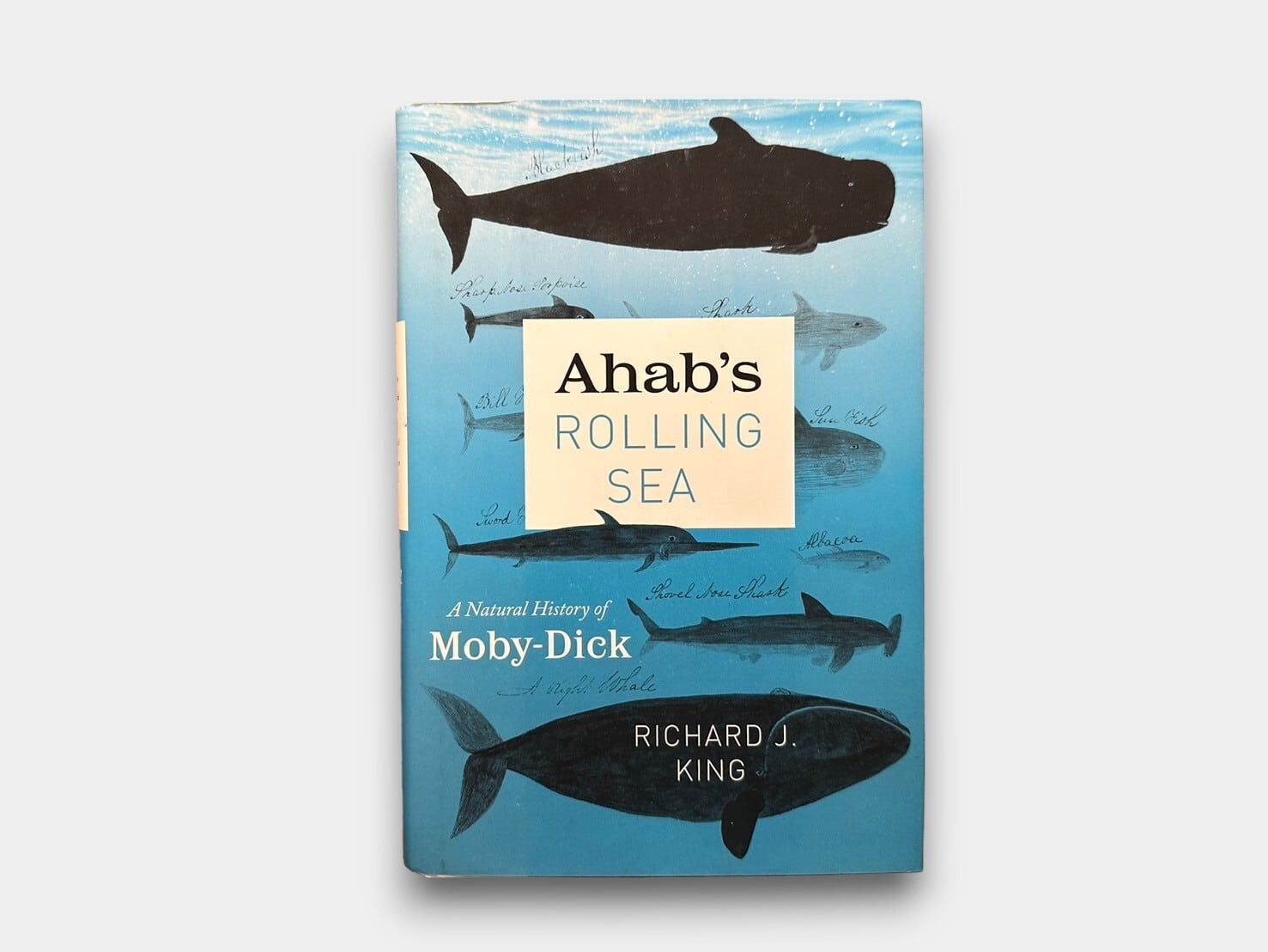 【SL307】【FIRST EDITION】Ahab's Rolling Sea: A Natural History of "Moby-Dick"(2019) / Richard J. King