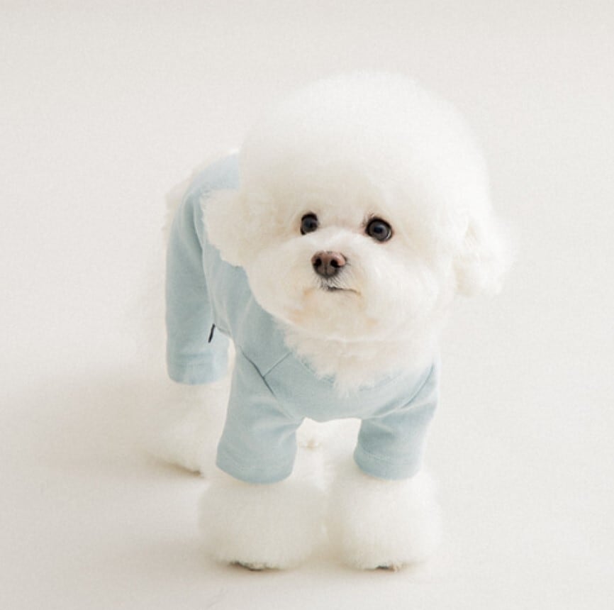 M/即納【BITEME】Mochi All-in-one (SkyBlue)