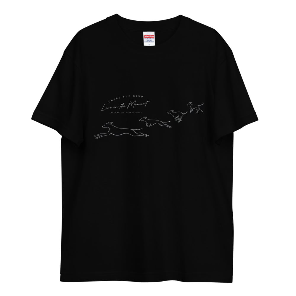 sacai KAWS TOKYO FIRST TEE 21-0325S T-SHIRT サイズ2 サカイ カウズ