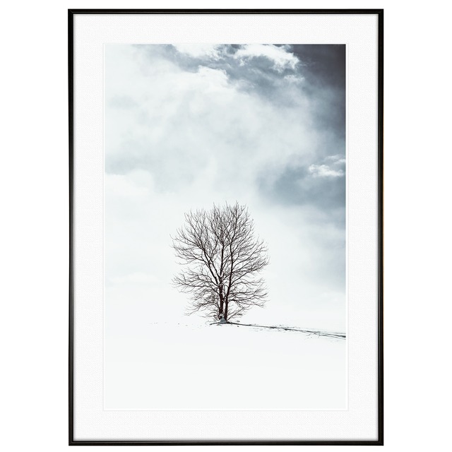 冬写真 インテリア モノクロアートポスター額装 AS0991