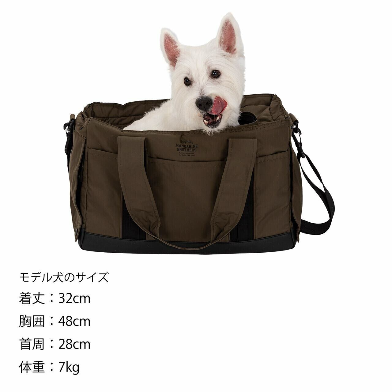 GLASGOW CARRY TOTE BAG / グラスゴーキャリートートバッグ　MANDARINE BROTHERS