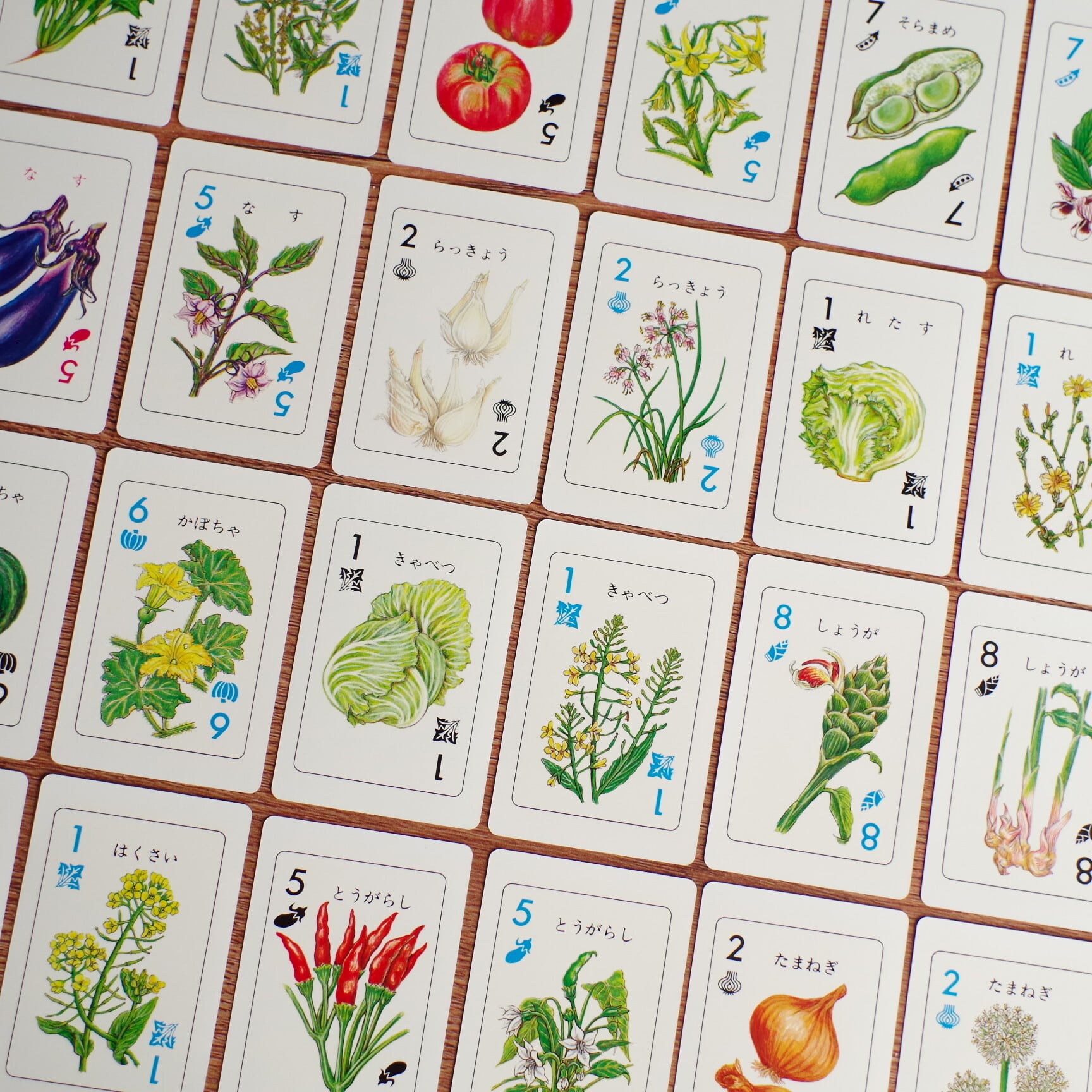 野菜カード | 木のおもちゃ専門店 おもちゃ箱 イカロス 公式オンライン