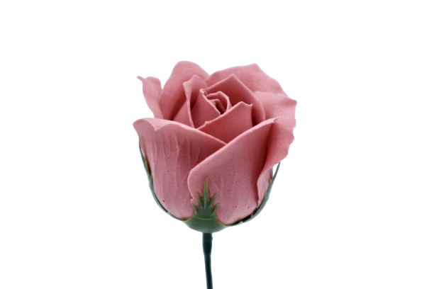 ゴールドバラG-P6 インディピンク (15輪入りor25輪入り)