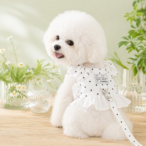 Dogフリルハーネスリードセット2type Pet21