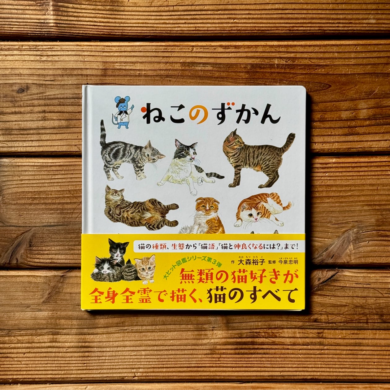 ニューヨークキャッツ2　のらネコ兄弟のはらぺこ放浪記　旺文社ジュニア図書館 ニューヨークキャッツ2 のらネコ兄弟のはらぺこ放浪記 旺文社ジュニア