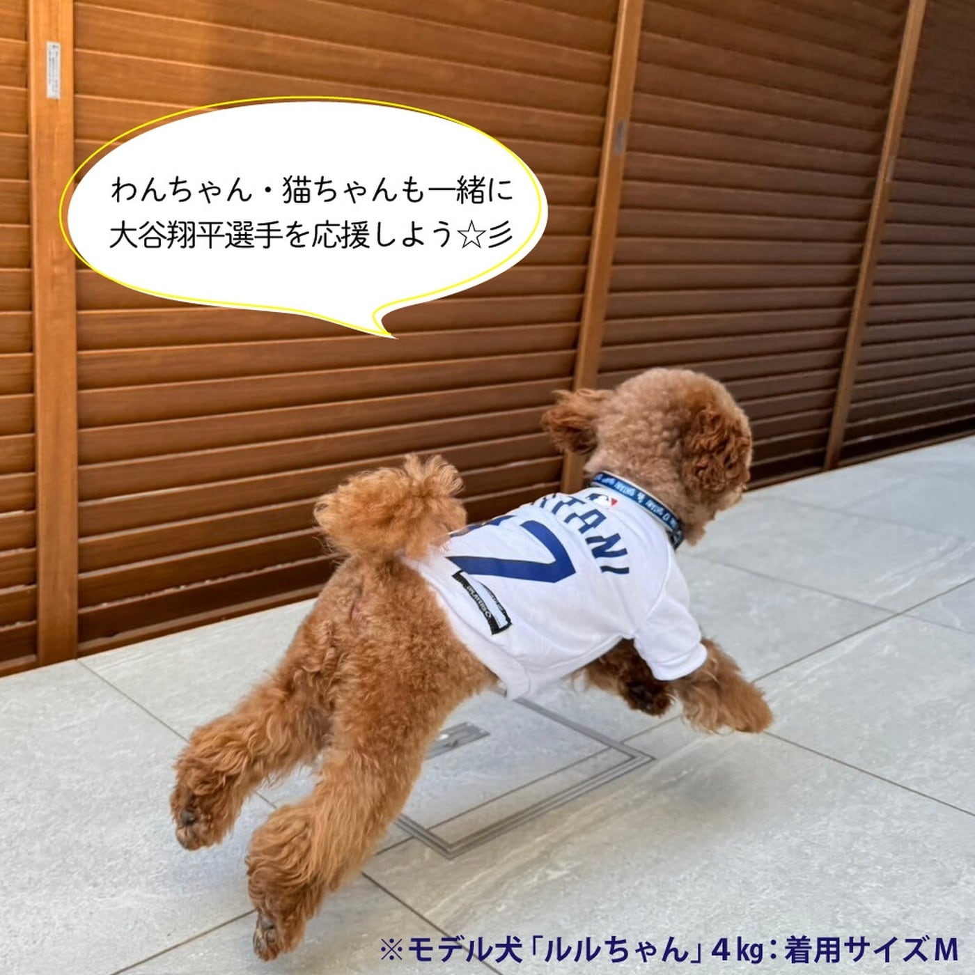 犬用Tシャツ Mサイズ｜MLB公式 ロサンゼルス・ドジャース 大谷翔平