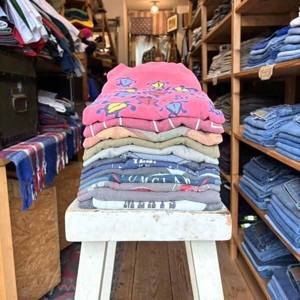 1点物◇USA製オレンジくすみフェード鳥バックプリントTシャツ古着
