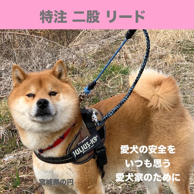 タフイナフ 柴犬用 セーフリード ( 小型犬 / 中型犬 用 )　特注