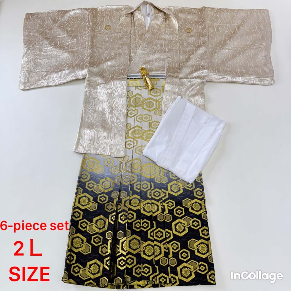 紋付袴 6点セット 着物 羽織 袴 長襦袢 羽織紐 角帯 裄74.8cm 袴丈92cm 2L シルバー 五つ紋 中古 4491