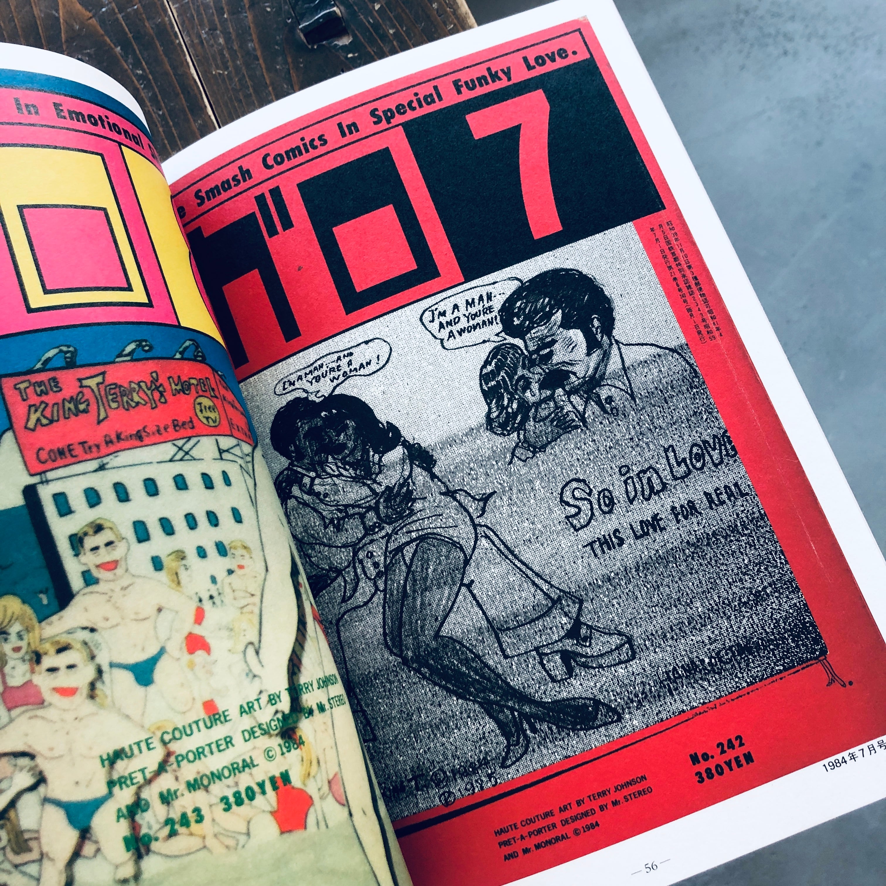 ALTERNATIVE COMIC SALON Vol.1 『月刊漫画ガロ』テリー・ジョンスンの