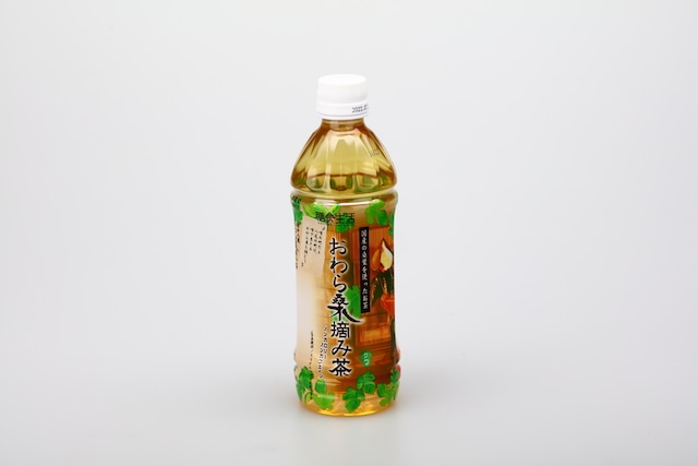 越中八尾おわら桑摘み茶500ml×24本入