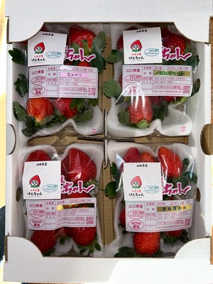 レギュラーパック　※８パック入り