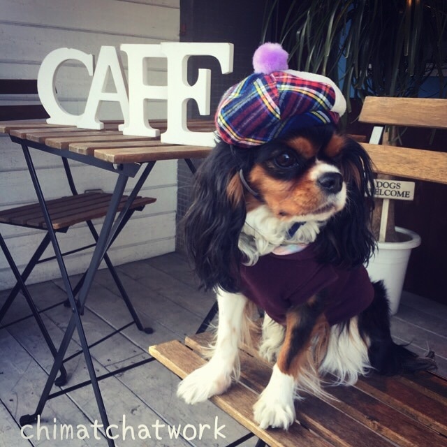 ベレー帽 犬用 冬用 犬用サンバイザーと帽子 オーダーメイド犬猫の洋服 ちまっちアットワーク ベレー帽 犬用 冬用 犬用サンバイザーと帽子 オーダーメイド犬猫の洋服 ちまっちアットワーク