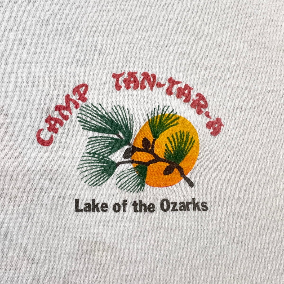 90年代 Camp Tan-Tar-A スーベニア プリントTシャツ メンズXL相当 古着
