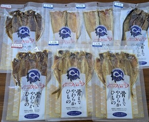 梅雨明け！サマーセット
