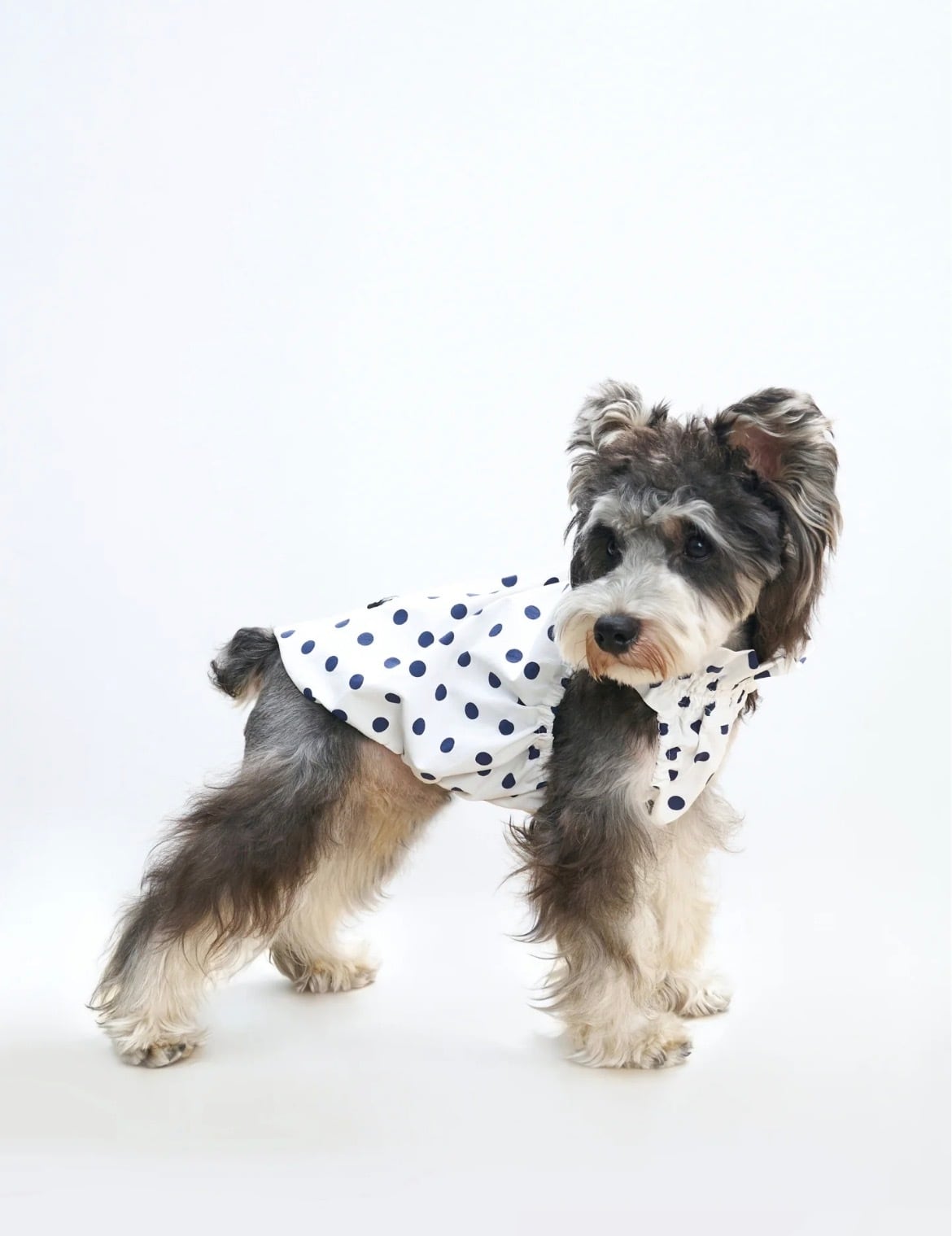 Patchwork Cable Knit & hairy jacquard Pet Sweater | ote.
