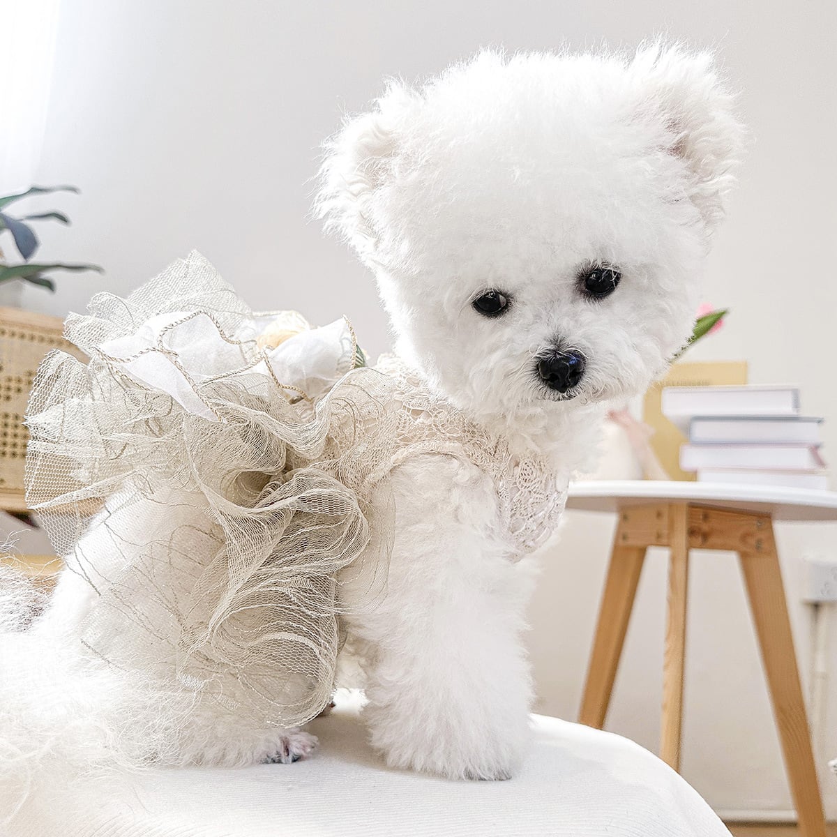 2点セットくまオーバーオールu0026ラウンドファーマット45cm　ニューボーンフォト ニューボーンフォト ベビー ぬいぐるみ くま 2 帽子 クマ 11