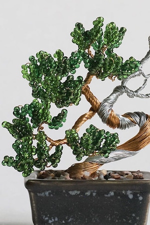 07 真柏【nejitte盆栽】
