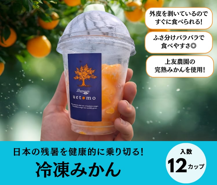 【今年の残暑はこれで乗り切る!】ふさ分け冷凍みかん(12カップ)