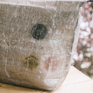 or this way / DCF Food Bag with Thermal (2026)
