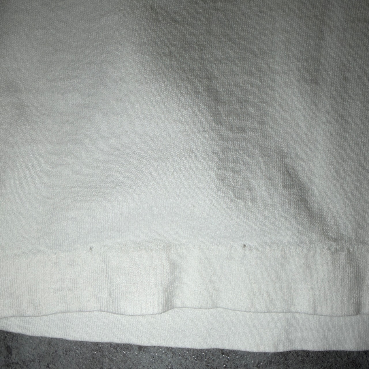 90's William Wegman "LOLITA" Printed T-Shirt USA FRUIT OF THE LOOM ART 90年代 ウィリアムウェグマン ロリータ プリント Tシャツ アメリカ ヴィンテージ ビンテージ Dog 犬 Photo フォト アート TT2026-0006 - 8