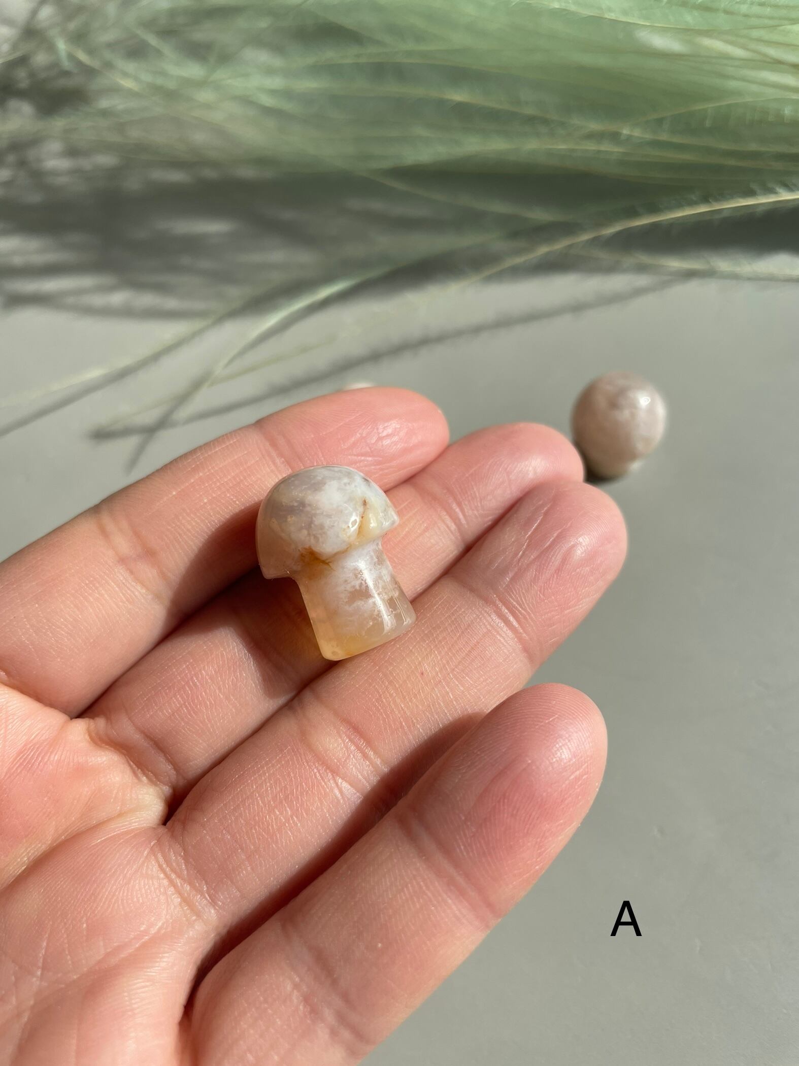 桜めのう　きのこ