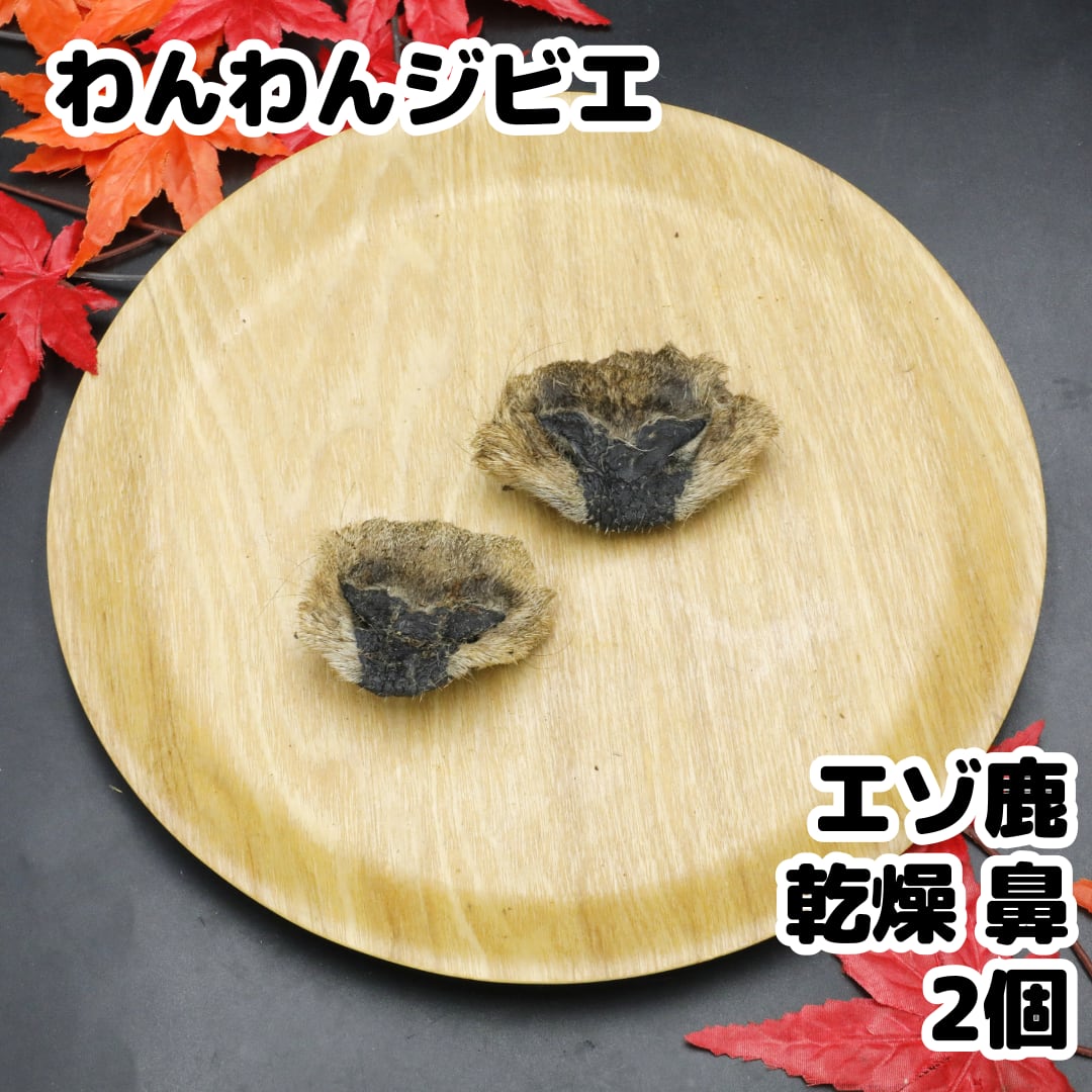 エゾ鹿 乾燥鼻 2個