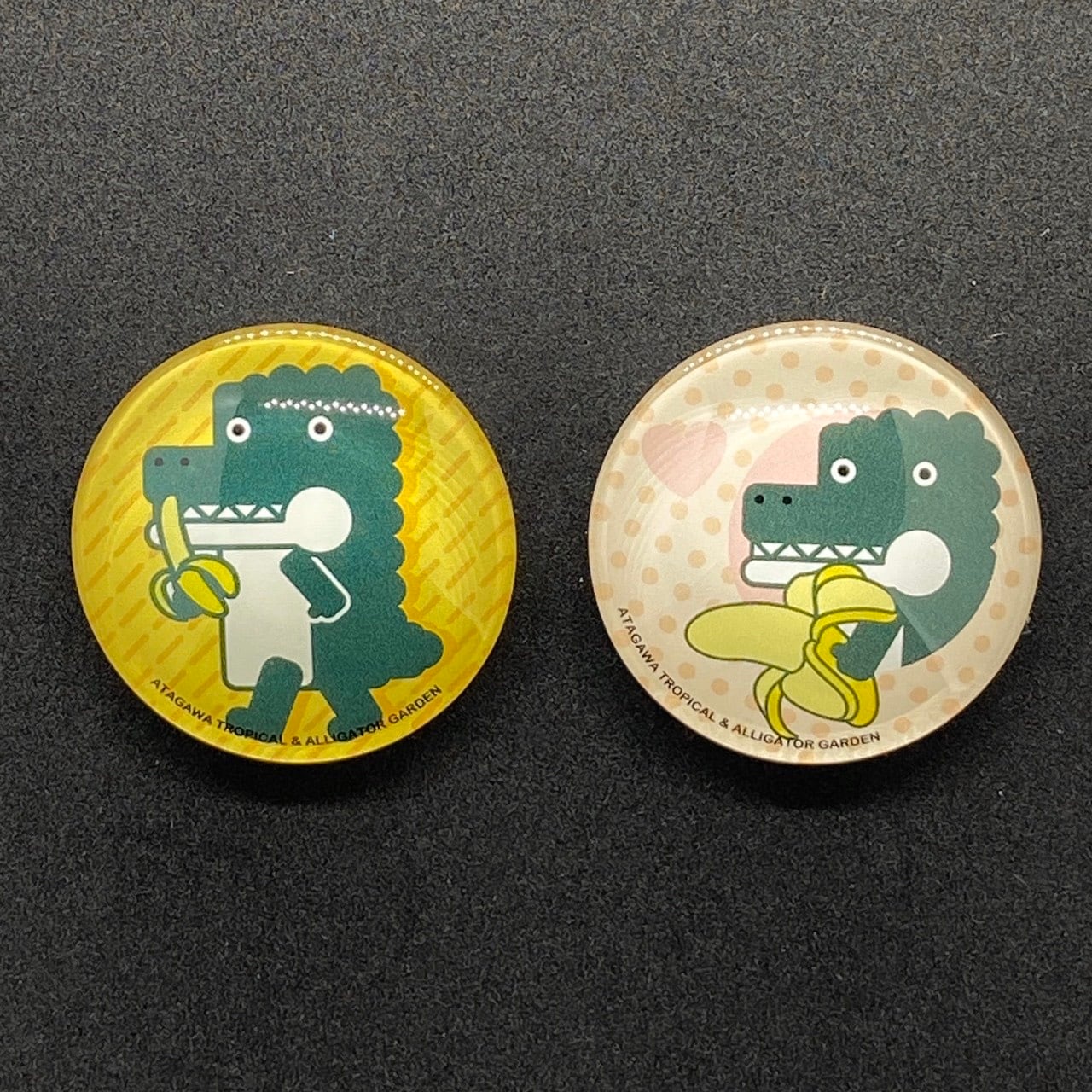 熱川ばにお ガラスマグネット | 熱川バナナワニ園 売店