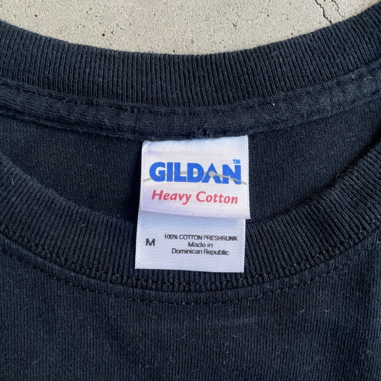 00年代 ゼルダの伝説 トワイライトプリンセス キャラクター プリント T