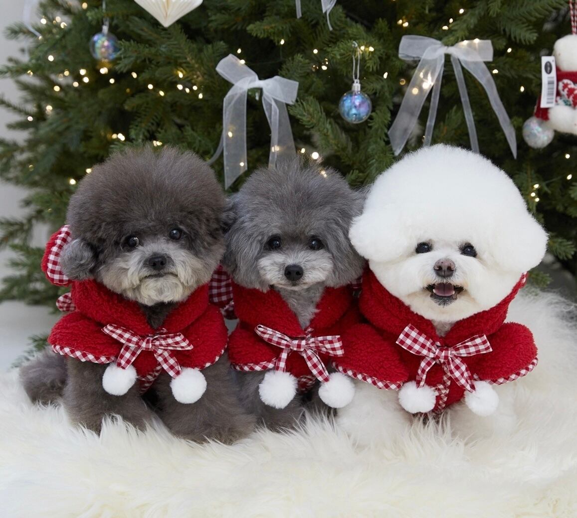 《予約》IL0047 My Cutie Bear Jacket