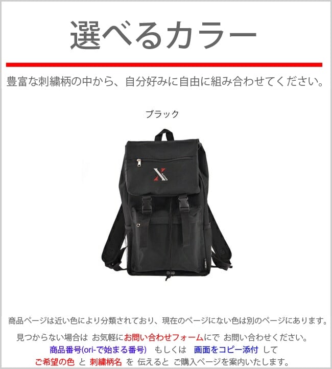ペット用リュック【新品未使用】 リッチェル（Richell） 訳あり ペットリュックキャリーNV キャリー