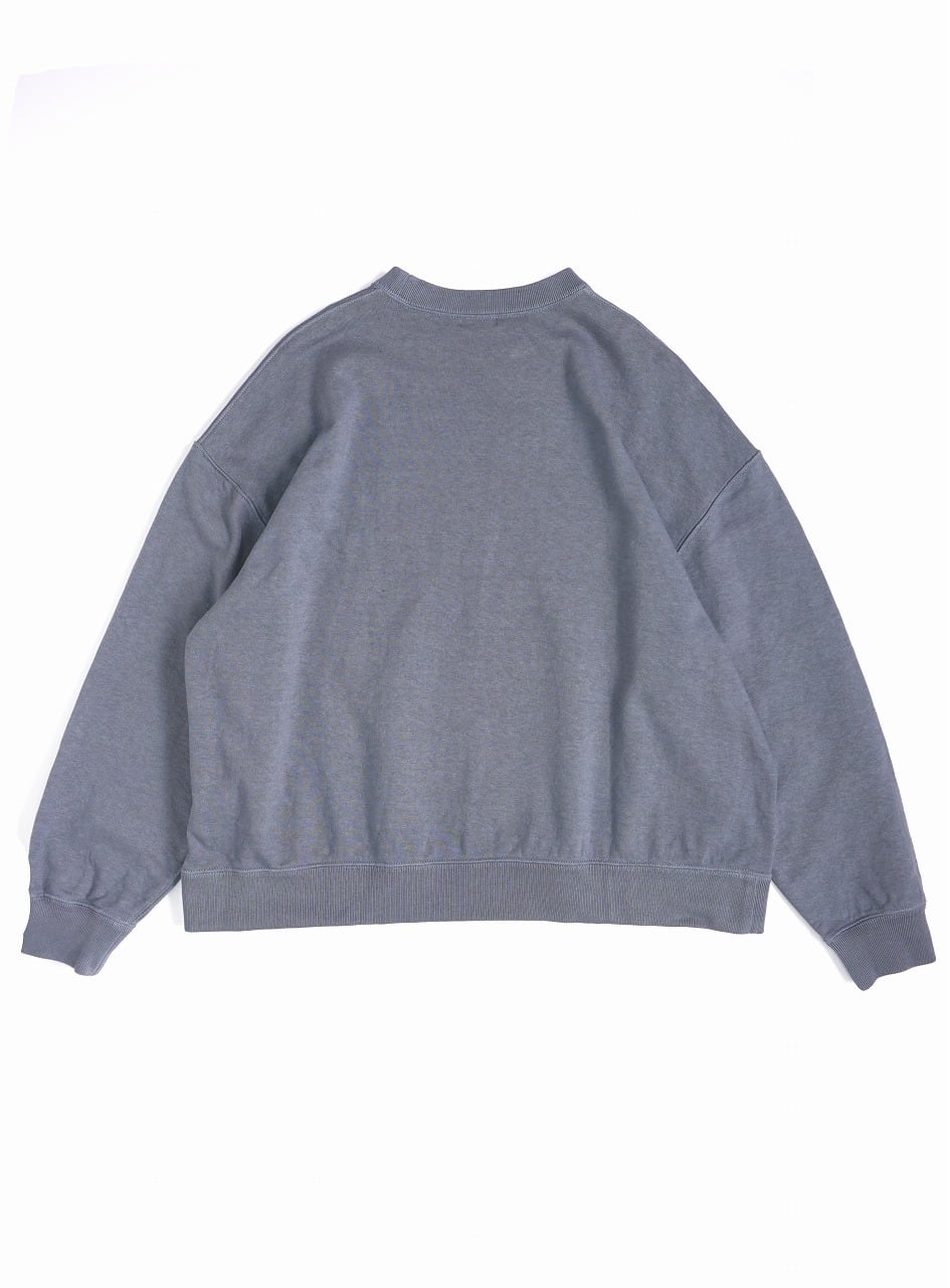 Memphis Bio Sweat P/O