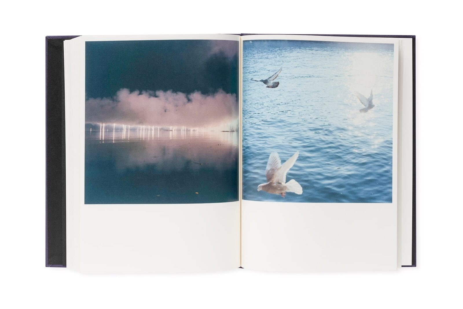 Illuminance: The Tenth Anniversary Edition｜川内倫子 | 本の栞