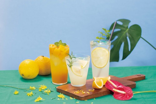 MIYAZAKI HANDMADE SYRUP ゆずジンジャー(業務用)2Kg×6本 120サイズ