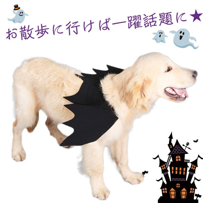 送料無料 Km638g犬 ハロウィン コスプレ 衣装 マジックテープ コウモリ コスチューム 服 羽 ドッグウェア 小型犬 中型犬 大型犬 被り物 仮装 パンプキン かぼちゃ Dearkm フレンチブルドック孔明