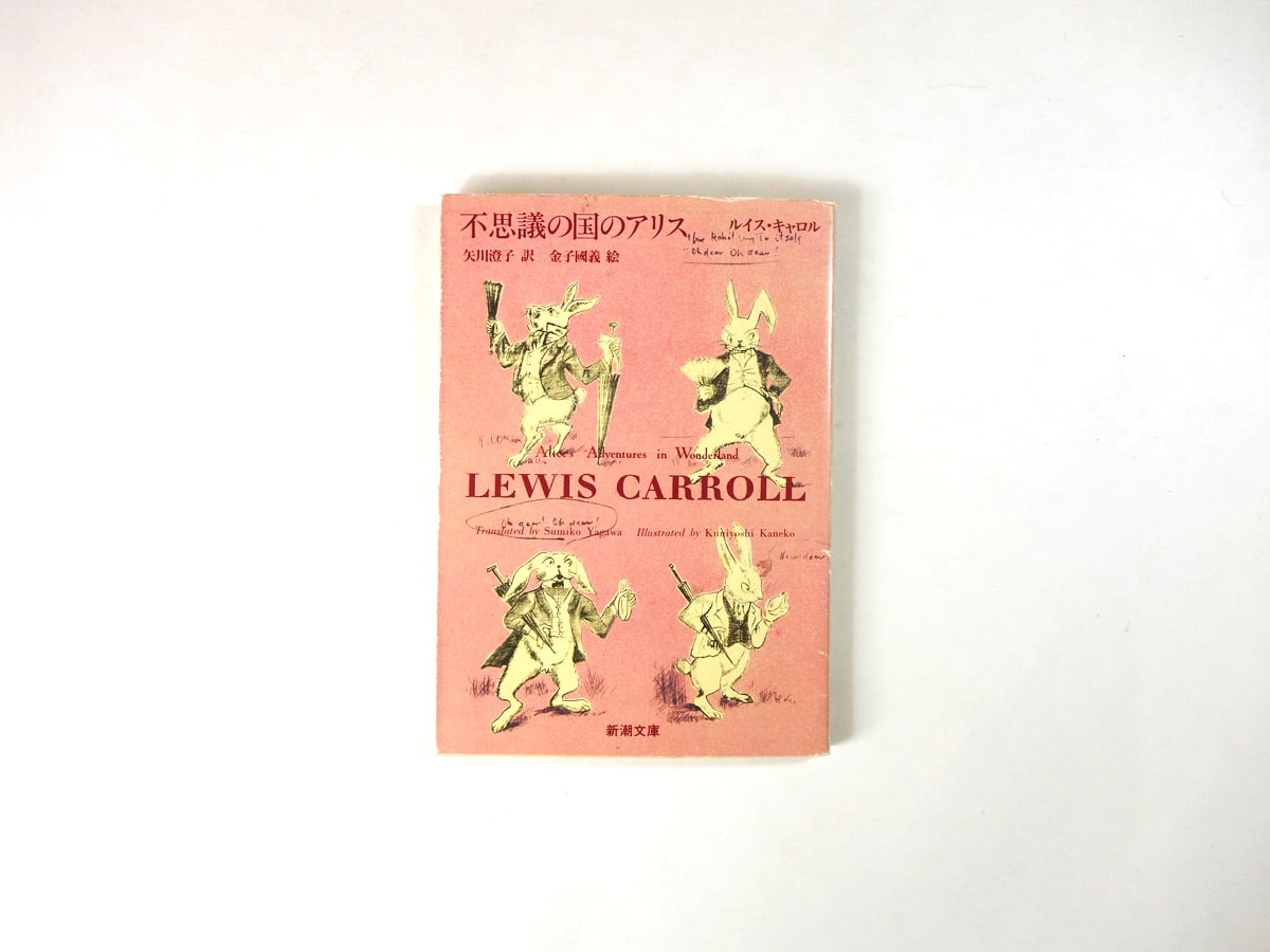 不思議の国のアリス(ルイス・キャロル 著、矢川澄子 訳、金子國義 画)