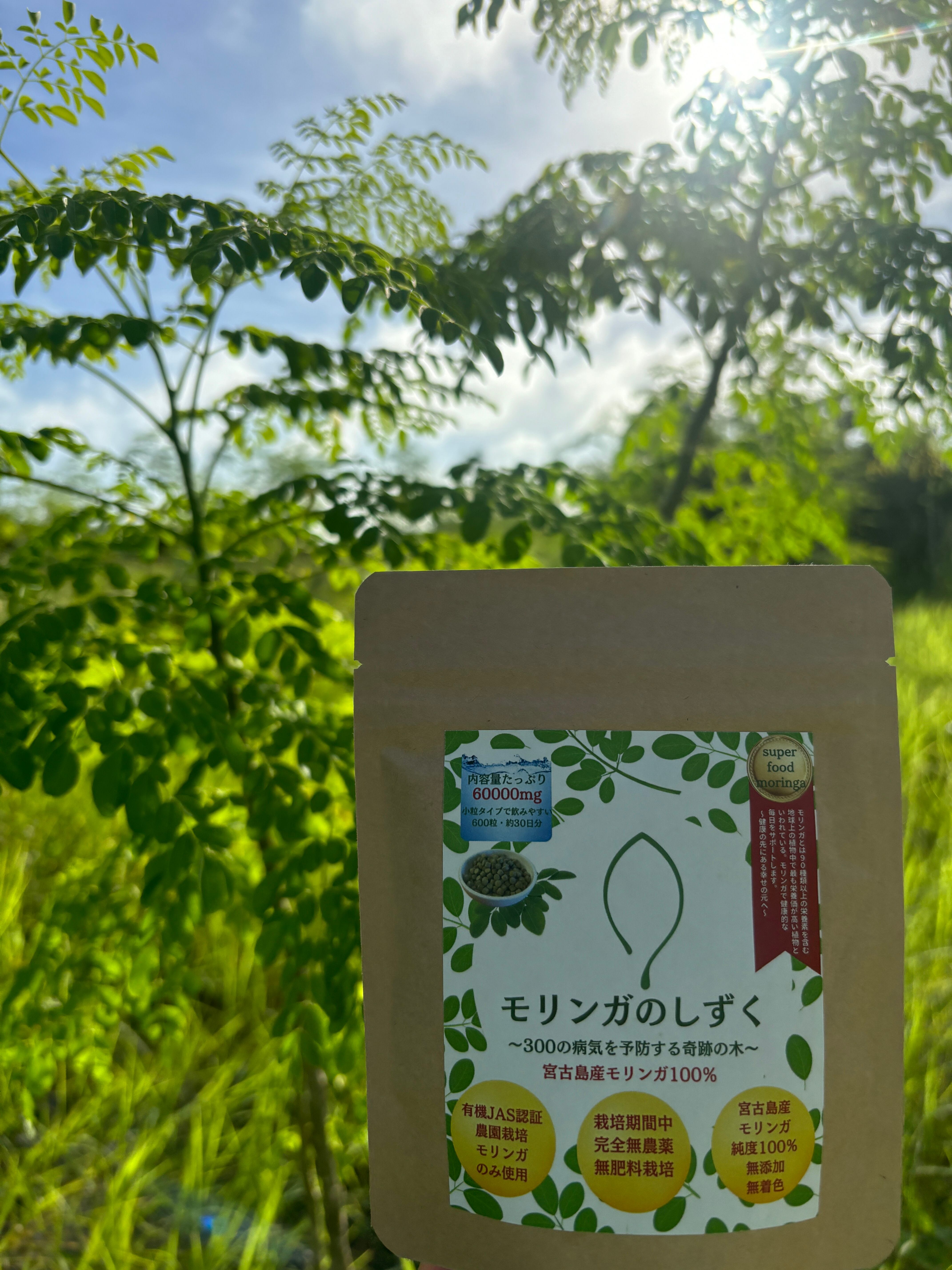 モリンガのしずく60g(約1ヶ月分) | moringa宮古島