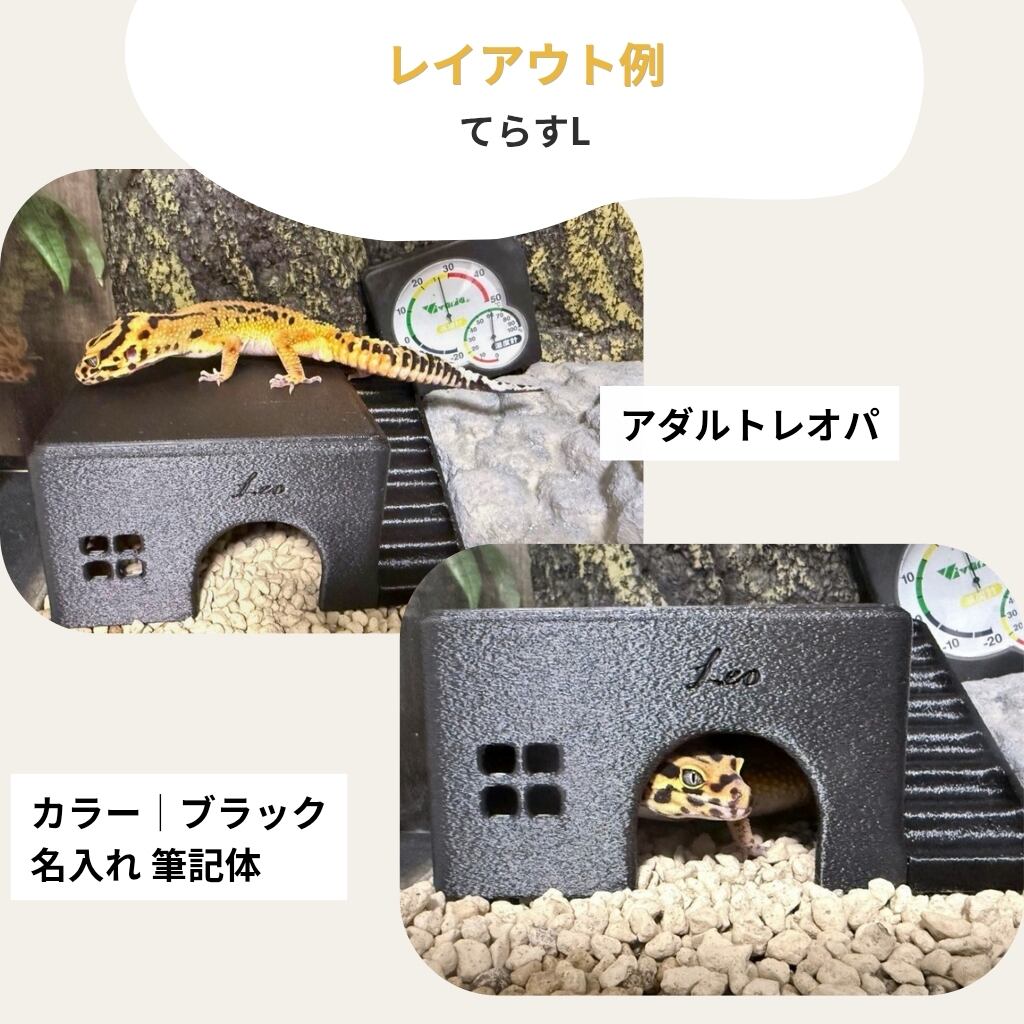 COKAGE【爬虫類シェルター てらす L】レオパ ニシアフ かわいい