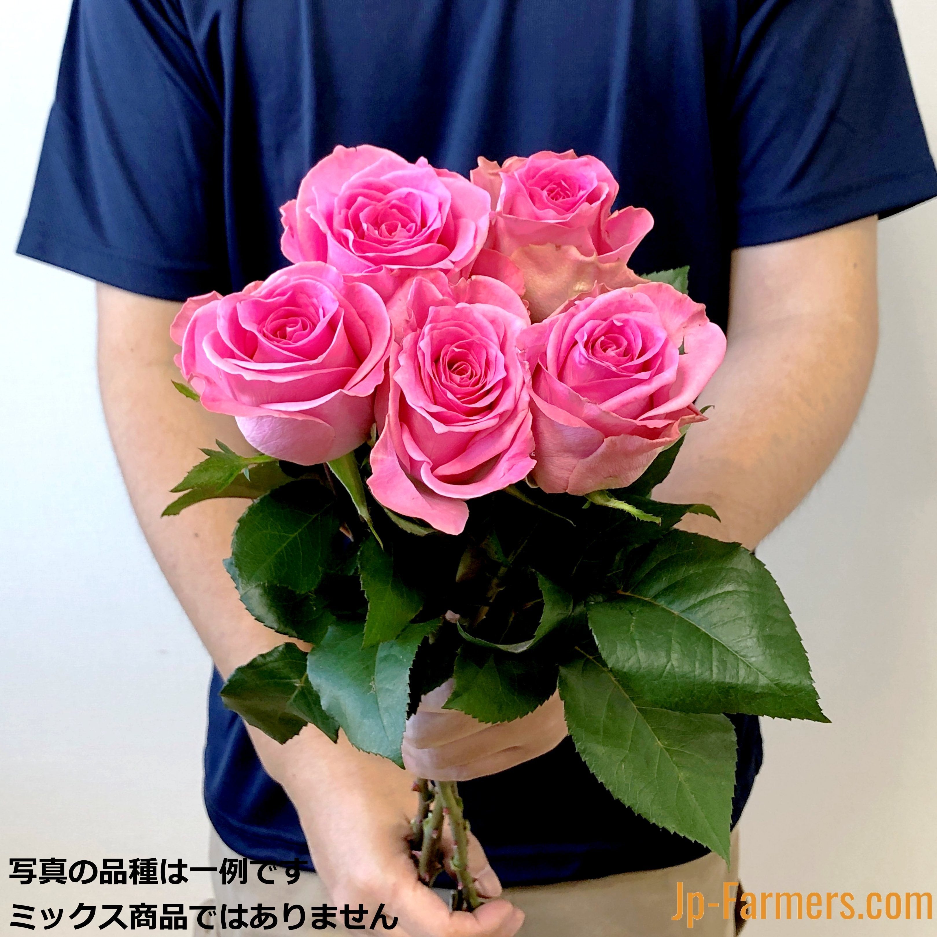 42084020cff8ea3404e7ff74a1bc4a