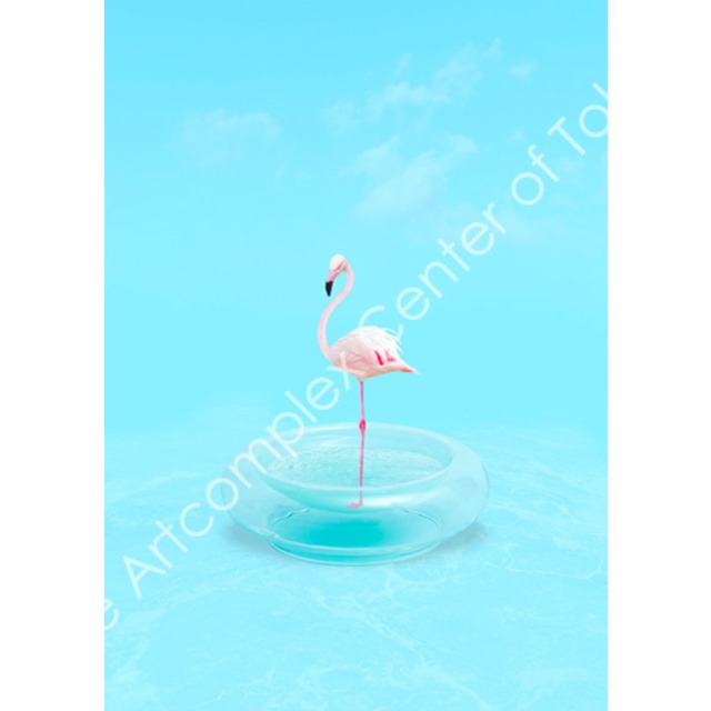 飯田かずな「フラミンゴのポタージュ・クレール」