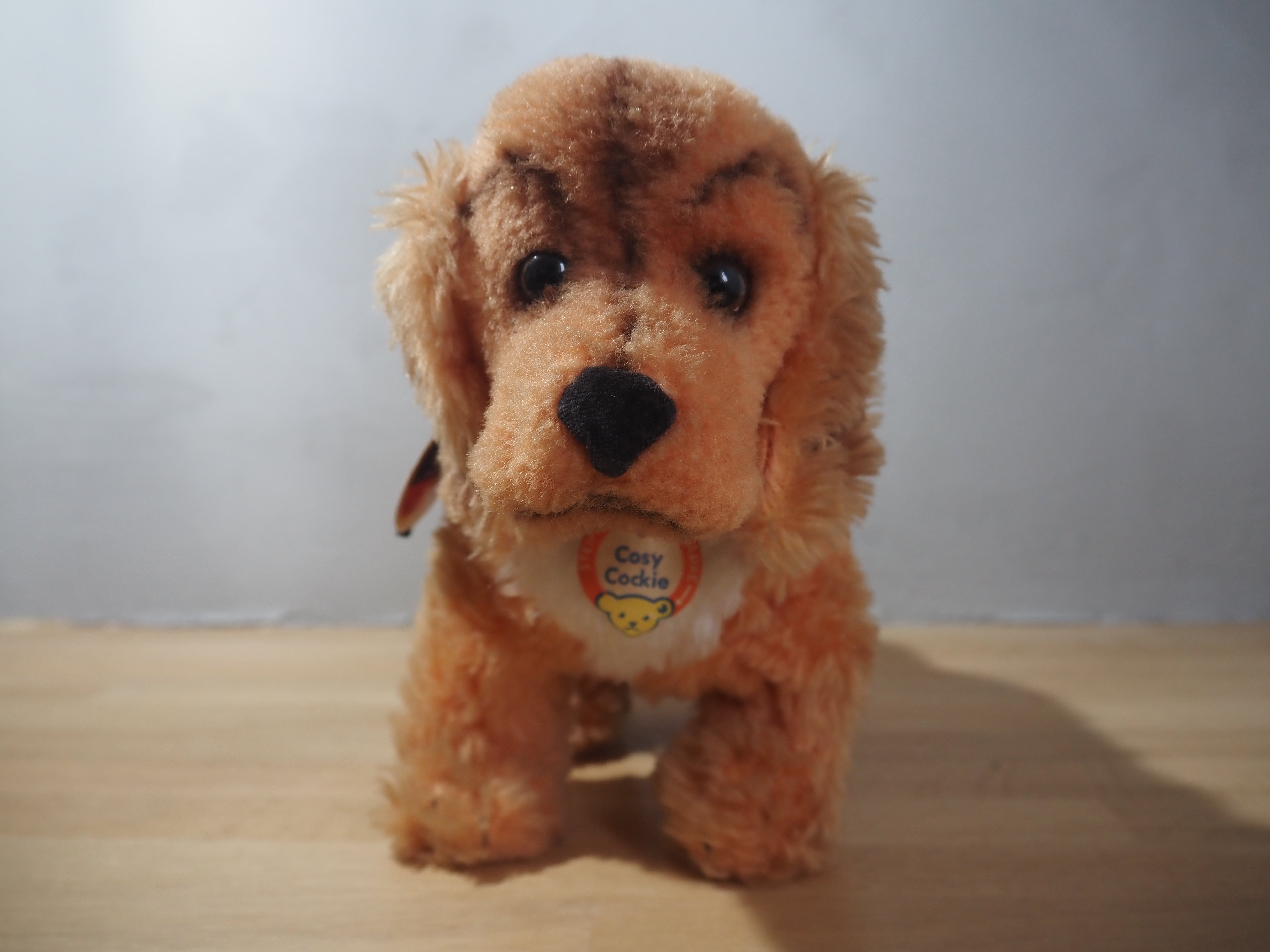 オールド シュタイフ コッカースパニエル Steiff Cosy Cockie 22cm