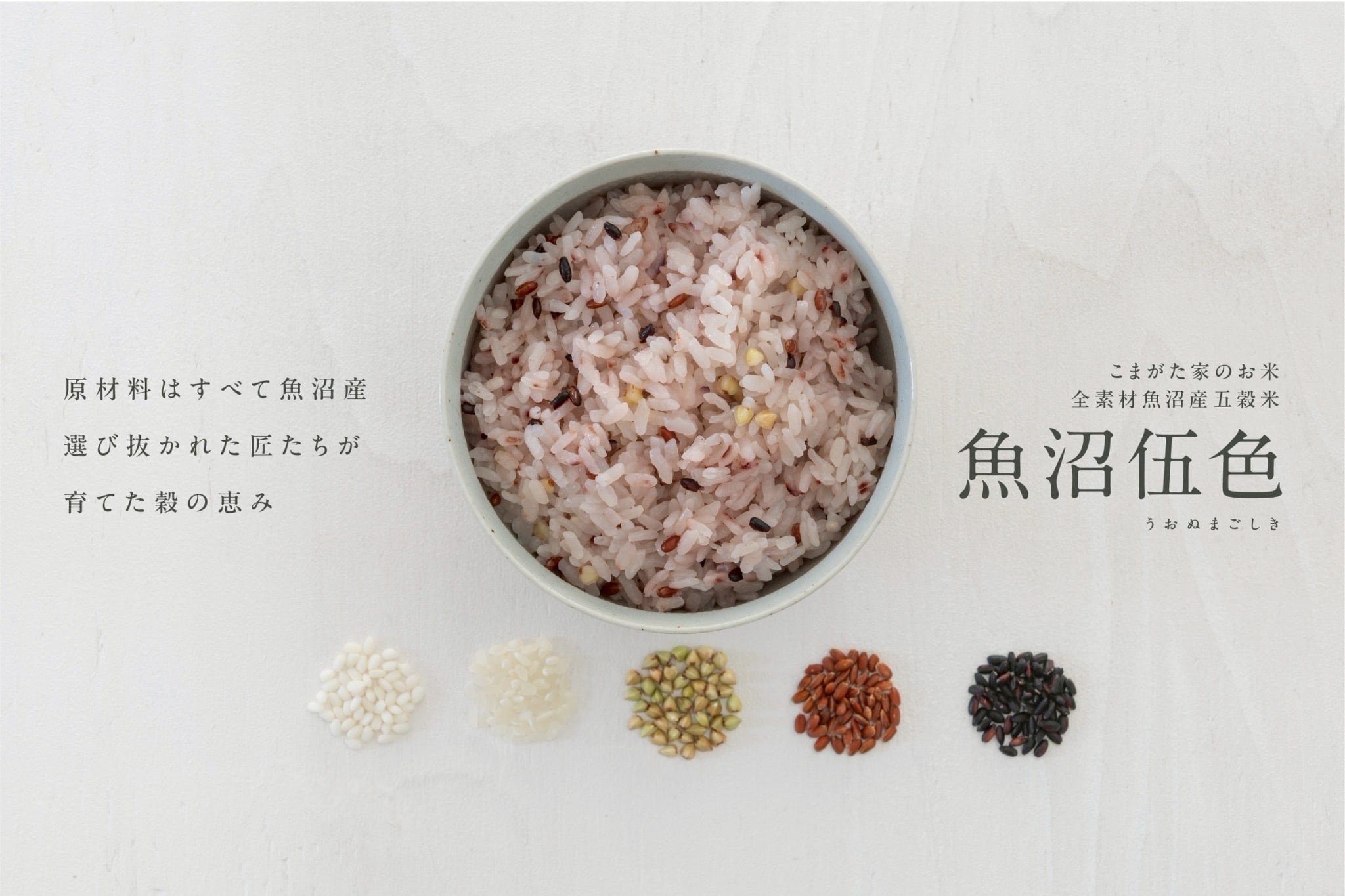 全素材魚沼産五穀米「魚沼伍色-うおぬまごしき-」300g×10個真空パックセット 無洗米