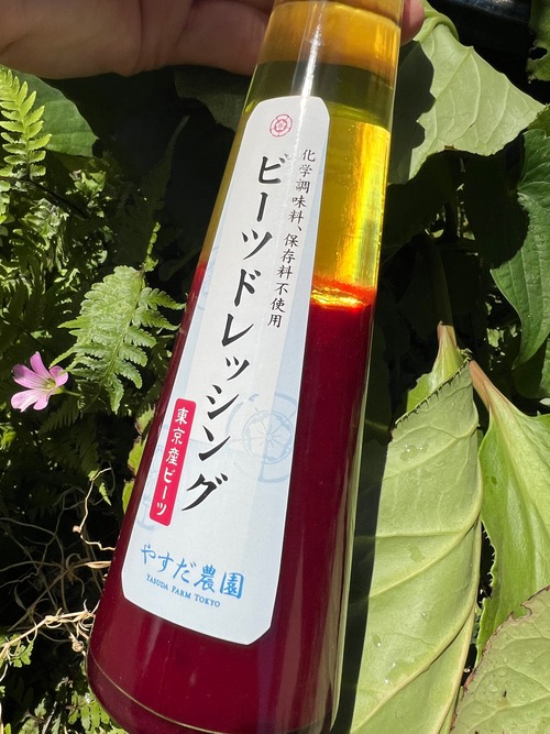 濃い旬ビーツドレッシング24本入り L100