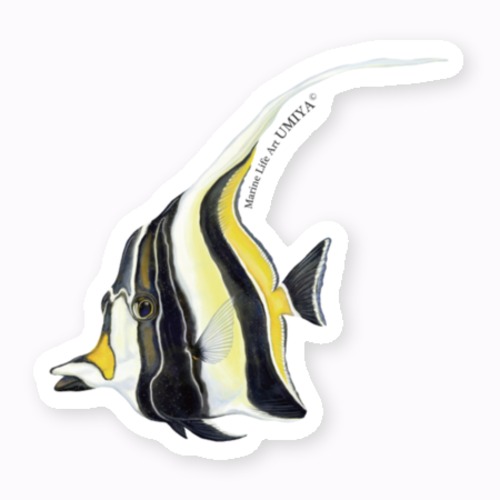 海の生きものステッカー（ツノダシ）