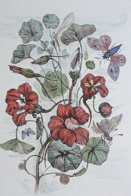 花 IIー金蓮花ー | Fiower Issue