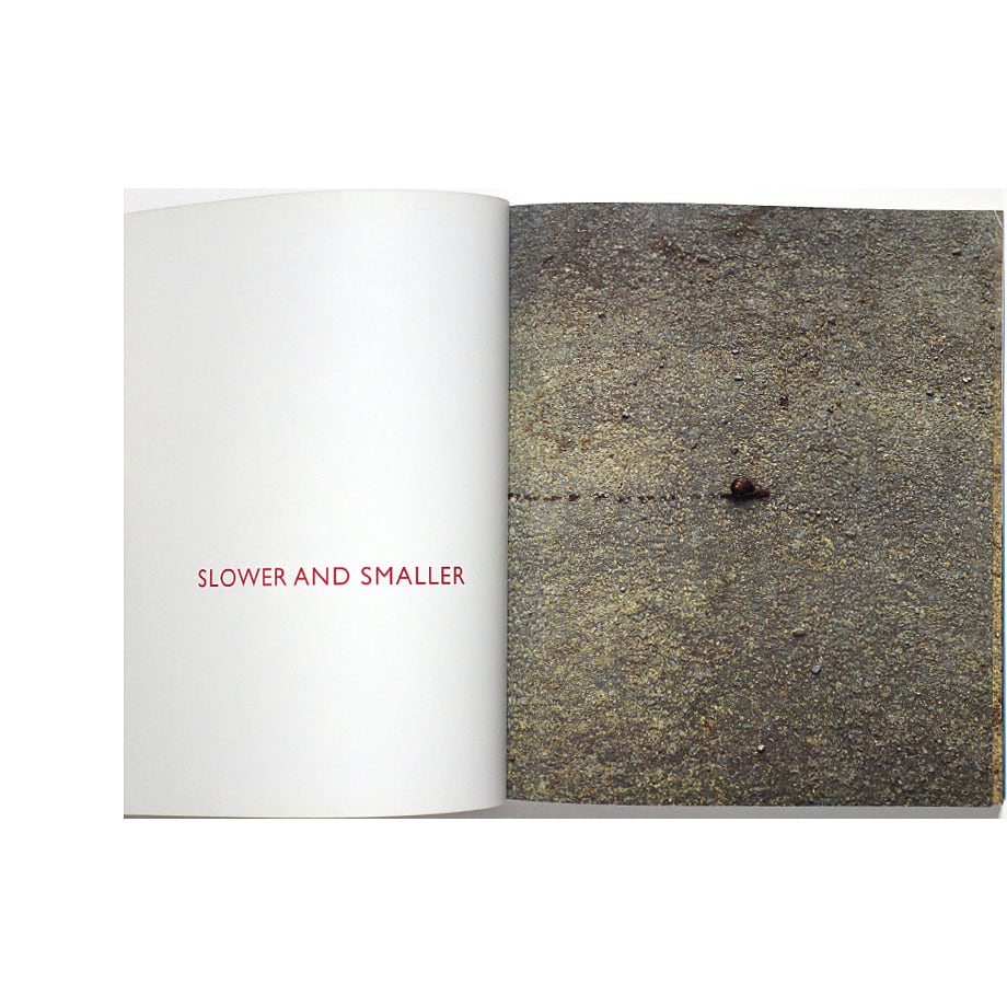 RICHARD LONG／リチャード・ロング 作品集 hamish fulton RICHARD LONG／リチャード・ロング 作品集 hamish fulton RICHARD LONG