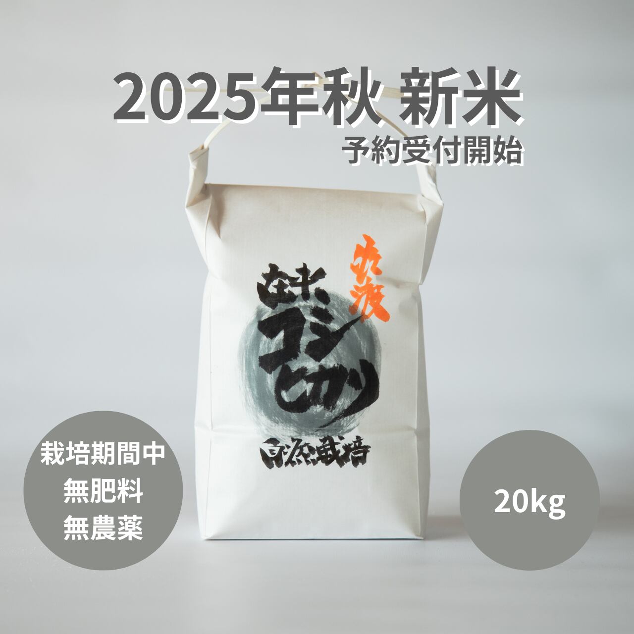 島根県産　コシヒカリ　令和7年度 20キロ（玄米） 食品 令和7年 自然栽培米 イセヒカリ 20kg 玄米