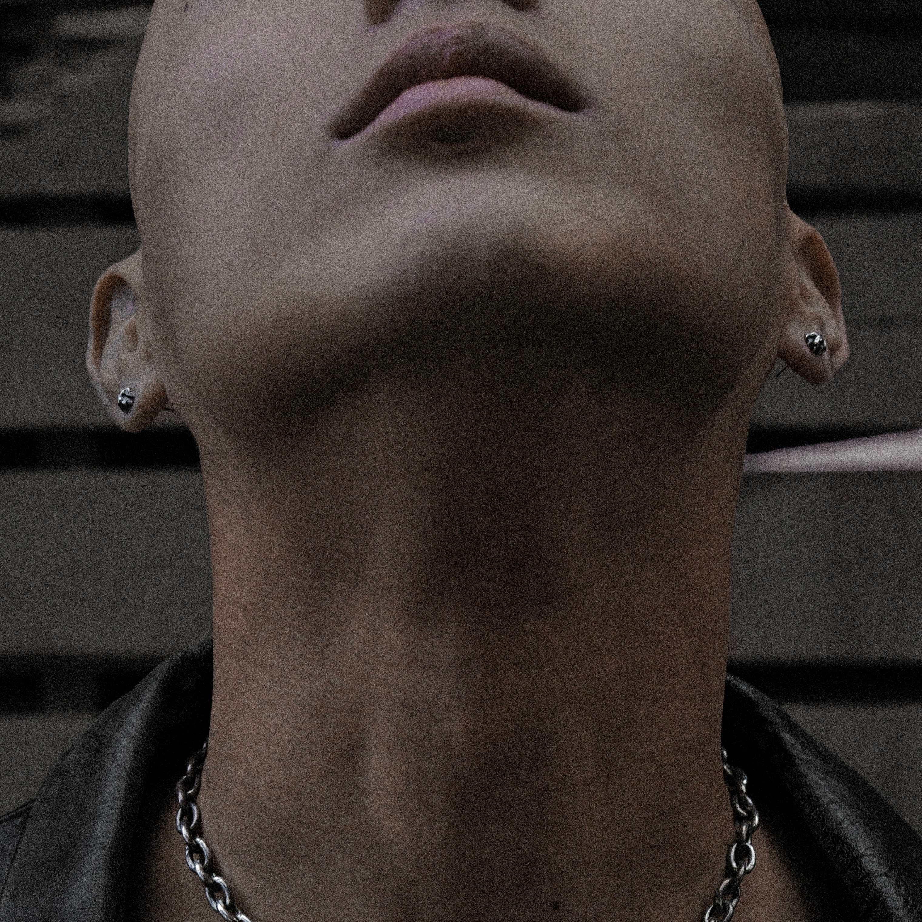 Fused Stud Pierce(片耳) | VAINON