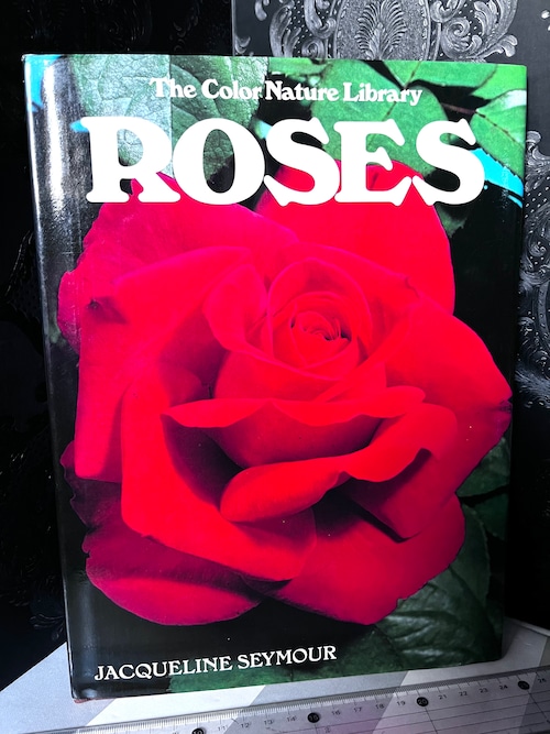 70's 美品　ROSES  By JACQUELINE SEYMOUR