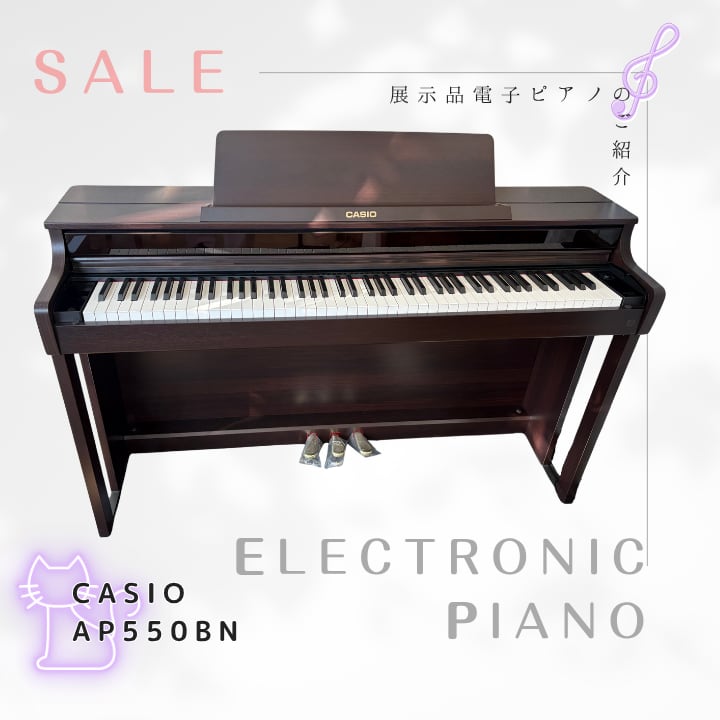 【展示処分品】カシオ　AP550BN